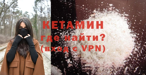 сатива Карпинск