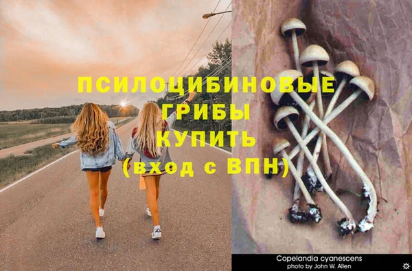 прущий лед Касимов