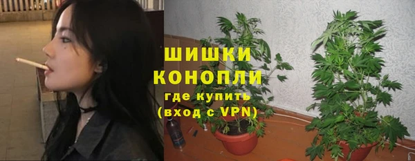 сатива Карпинск