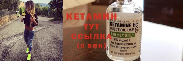сатива Карпинск