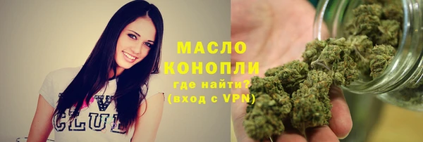сатива Карпинск