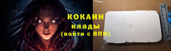 сатива Карпинск
