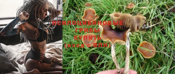 прущий лед Касимов