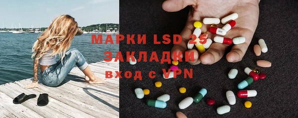 ГАЛЛЮЦИНОГЕННЫЕ ГРИБЫ Каменка