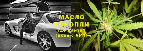 сатива Карпинск