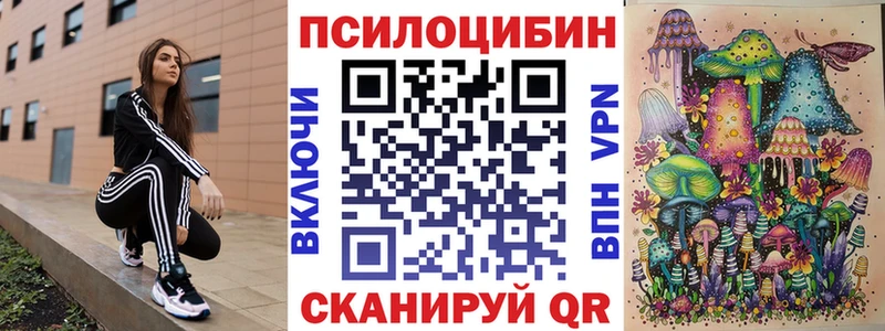 Купить закладки  Новотитаровская  Галлюциногенные грибы Cubensis 